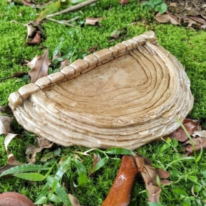 BEBEDOURO EM RESINA