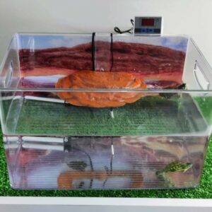 KIT AQUATERRÁRIO COM TERMOSTATO E AQUECEDOR
